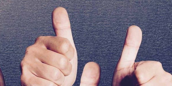 Test Driving Adult Activities Test Driving Adult Activities