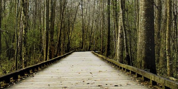 The Road Ahead Moving Towards Change