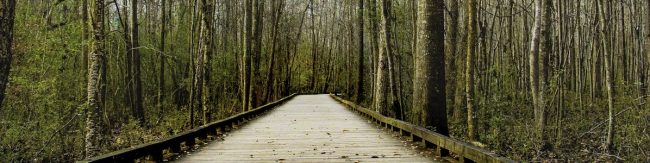 The Road Ahead Moving Towards Change