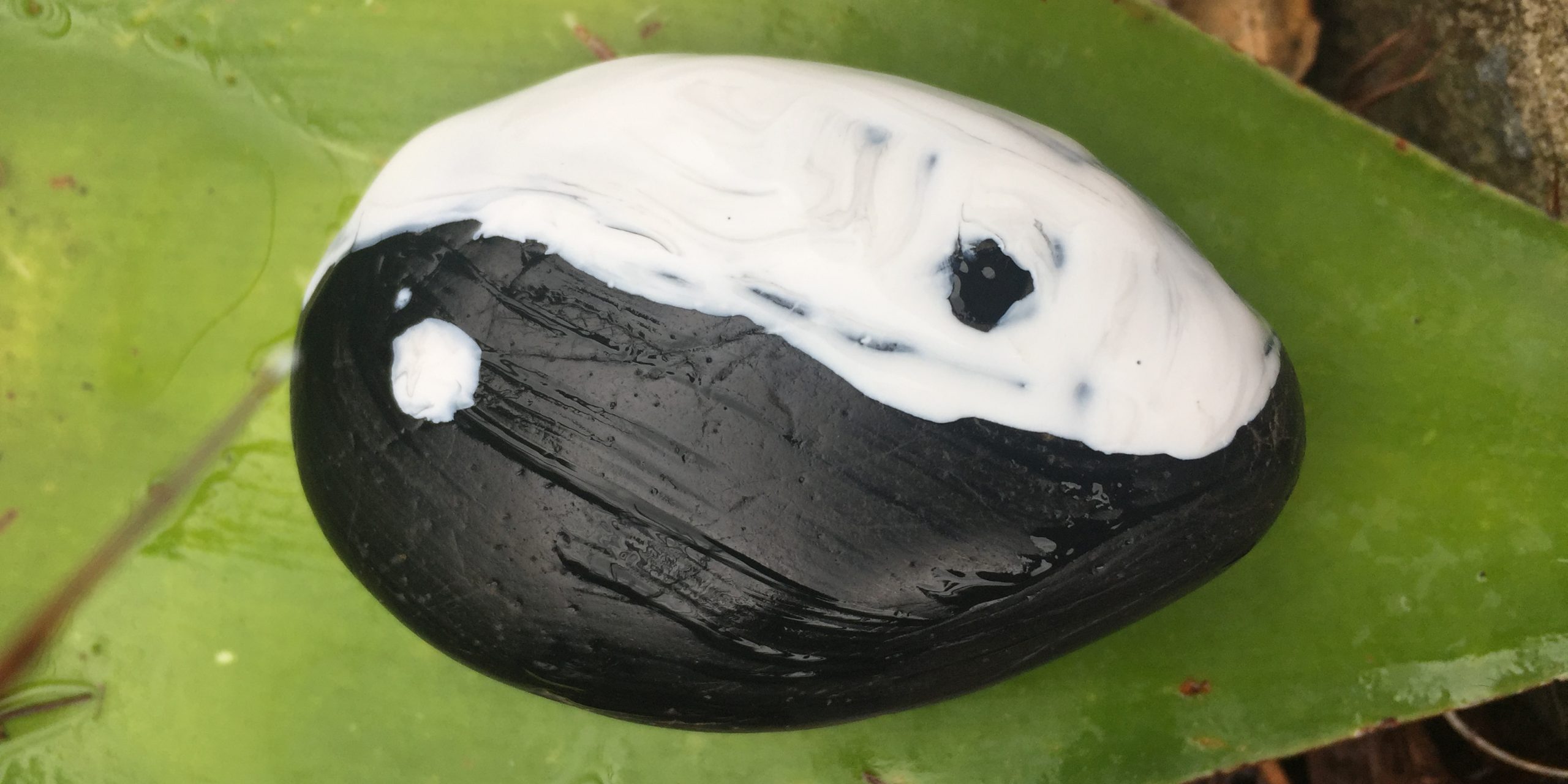 Yin and Yang Rock