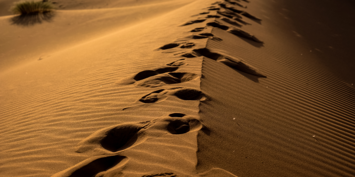 Line in the sand