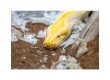 Shedding